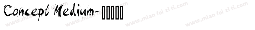 Concept Medium字体转换